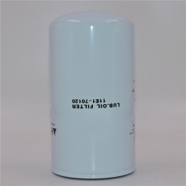 Filtro olio Hyundai 11E1-70140