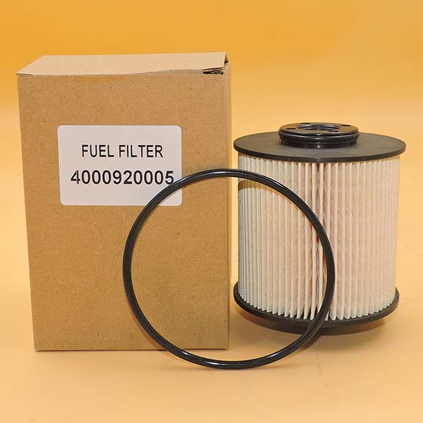 Fuel Filter 4000920005