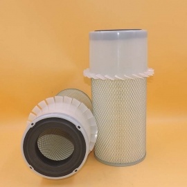 filtro dell'aria P601280