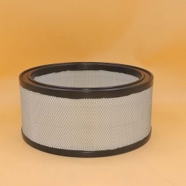 filtro dell'aria P524369