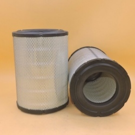 filtro aria P527484 