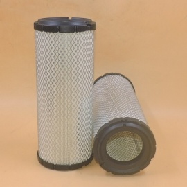 filtro dell'aria P772579
