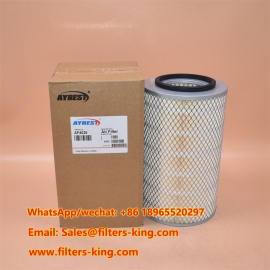 AF4028 Filtro dell'aria