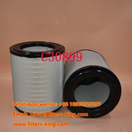 Filtro dell'aria C30899