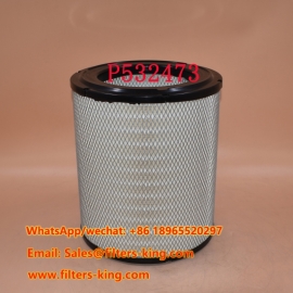 P532473 Filtro aria