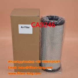 Filtro aria CA9246