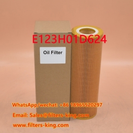 Filtro dell'olio E123H01D624