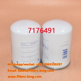 7176491 Filtro carburante