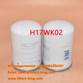 Filtro carburante H17WK02