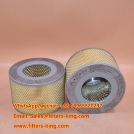 Filtro dell'aria 17801-78011