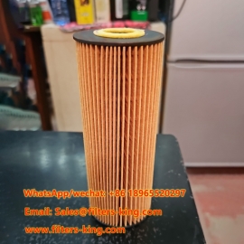 Filtro dell'olio P843
