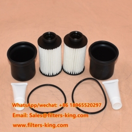 Kit filtro urea per camion R490