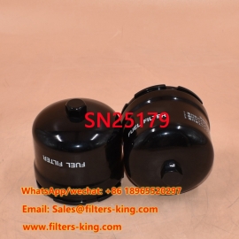 SN25179 Filtro carburante