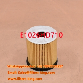 Filtro dell'olio E1026HD710