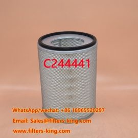 Filtro aria C24444/1