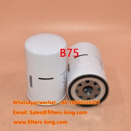 Filtro olio B75