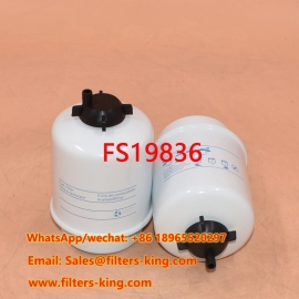 Filtro carburante FS19836