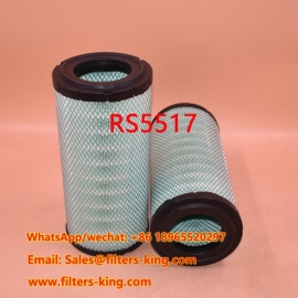 Filtro dell'aria RS5517