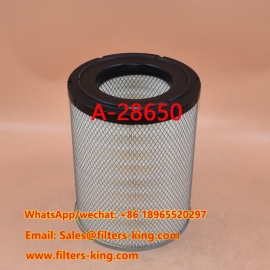 Filtro dell'aria A-28650