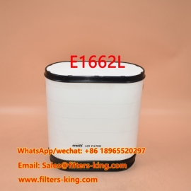 Filtro aria E1662L
