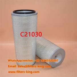 Filtro aria C21030