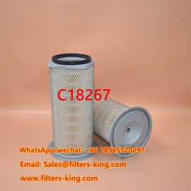 Filtro dell'aria C18267
