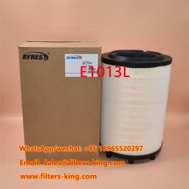 Filtro aria E1013L