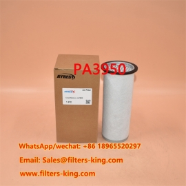 Filtro aria PA3950