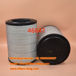 Filtro aria 46647
