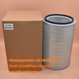 503251 Filtro dell'aria