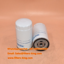 Filtro carburante diesel 1105012W6000-1020