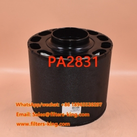 Filtro aria PA2831