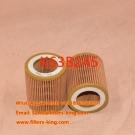 Filtro aria K63B245