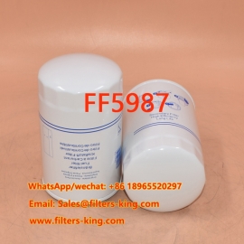 Filtro carburante FF5987