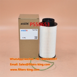 P550653 Filtro carburante