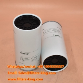 Filtro carburante FS19591