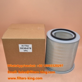 3836478 Filtro dell'aria