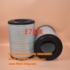 Filtro aria E787L