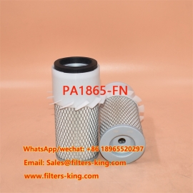 Filtro aria PA1865-FN