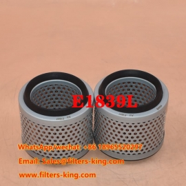 Filtro aria E1839L