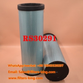 Filtro dell'aria RS30291