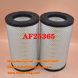 Filtro dell'aria AF25365