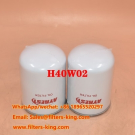 Filtro olio H40W02