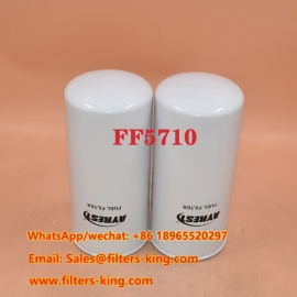 Filtro carburante FF5710