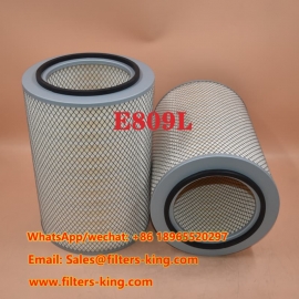 Filtro aria E809L