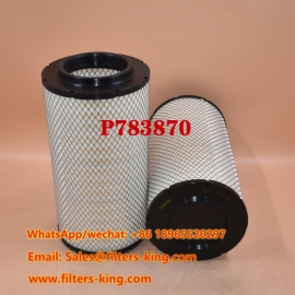 P783870 Filtro aria