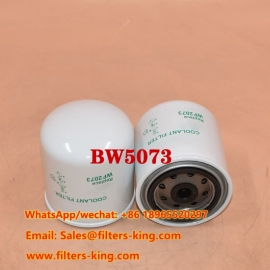 Filtro refrigerante BW5073