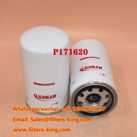 P171620 Filtro idraulico