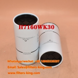 Separatore acqua-carburante H7160WK30