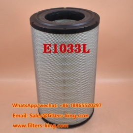 Filtro aria E1033L